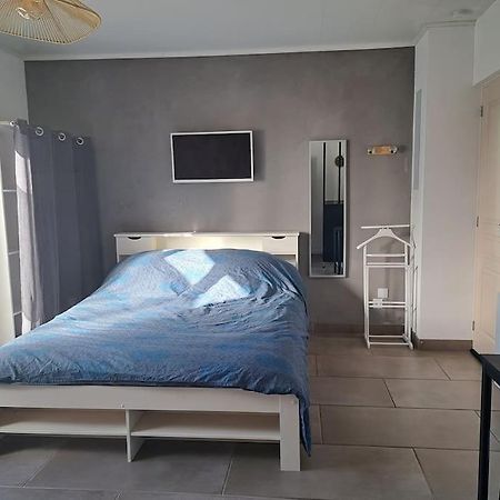 Studio Dans Maison Avec Jardin Et Balcon, Au Calme Sérézin-du-Rhône المظهر الخارجي الصورة
