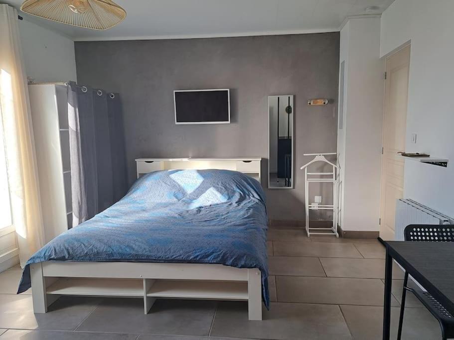 Studio Dans Maison Avec Jardin Et Balcon, Au Calme Sérézin-du-Rhône المظهر الخارجي الصورة