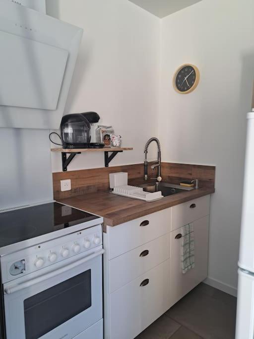 Studio Dans Maison Avec Jardin Et Balcon, Au Calme Sérézin-du-Rhône المظهر الخارجي الصورة