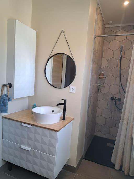Studio Dans Maison Avec Jardin Et Balcon, Au Calme Sérézin-du-Rhône المظهر الخارجي الصورة